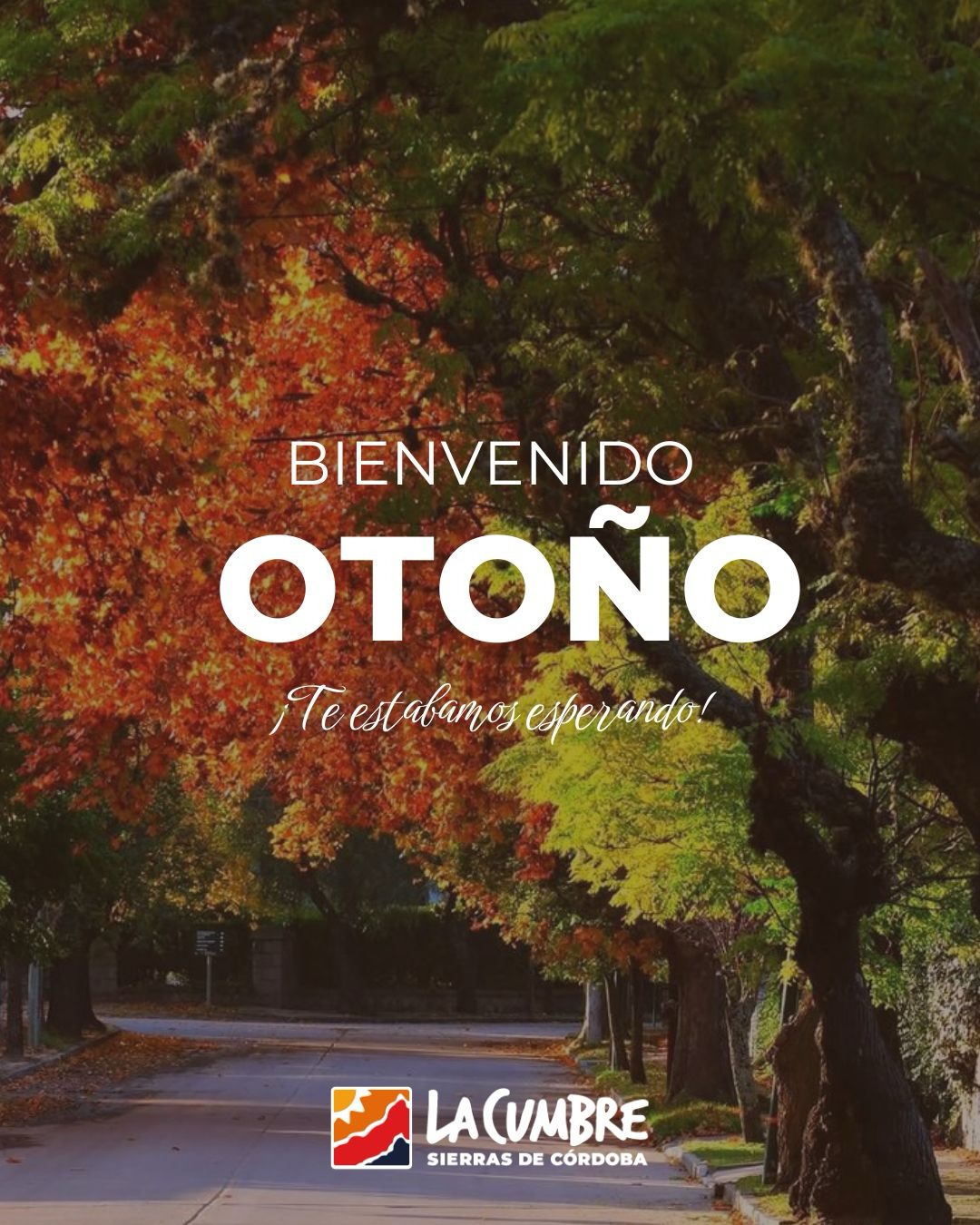 la cumbre otoño arb