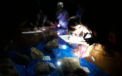 La Noche de las Linternas cautiva a grandes y chicos en el Museo de Ciencias Serrano