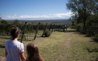 4ª Fiesta del Vino y la Vid de Calamuchita