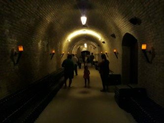 Se realizaron capacitaciones y visitas a diferentes Viñedos de Entre Ríos