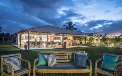 Tree Bies Resort, como descubrir un paraíso escondido en el noreste brasileño