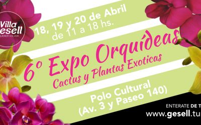 Sexta Expo Orquídeas en Villa Gesell en Semana Santa
