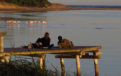 Como viajar desde casa por Uruguay