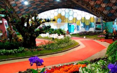 Llega la Fiesta Nacional de la Flor virtual en Escobar