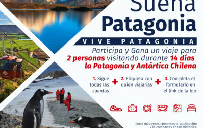 Concurso promocional “Sueña Patagonia 2020”