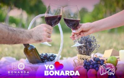 San Martín vive y disfruta la Semana del Bonarda