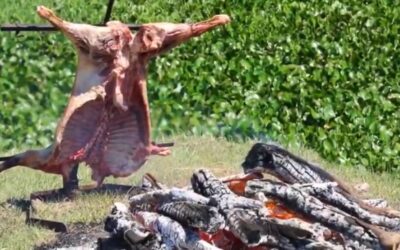 Goya te espera, así nos invita Darío Viera