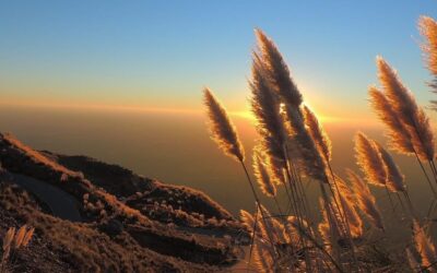 Primavera de eventos en Villa de Merlo