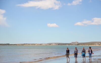 Durante el fin de semana largo, Puerto Madryn tuvo 94% de ocupación, 21% más que en esa fecha de 2019