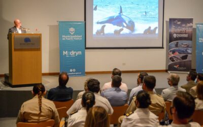 Lanzamiento oficial de la temporada de Orcas en Puerto Madryn