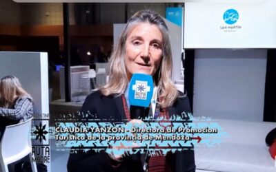 Invierno en Mendoza: a disfrutar del frío y la nieve