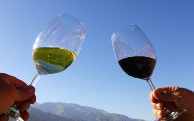 Imperdible recorrido por la bodega Finca Los Bayos en Gualeguaychú