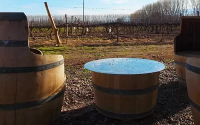 El Encuentro Regional de Turismo del Vino de la Patagonia será recibido en Río Negro