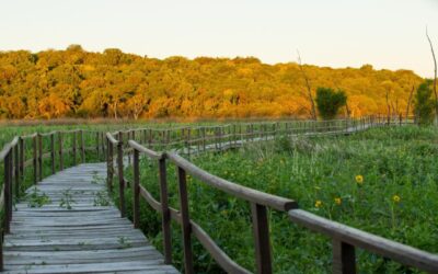 Más de 650.000 turistas visitaron Entre Ríos en las vacaciones de invierno