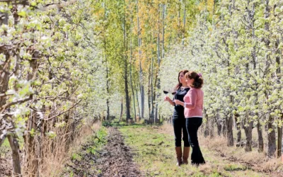 Río Negro te invita a sentir lo épico de la primavera en cada destino