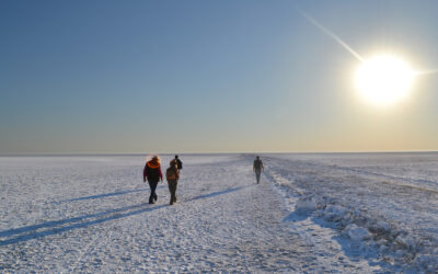 Las Salinas Gran Hotel es el lugar para hospedarse y conocer el norte cordobés