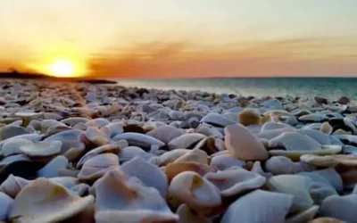 San Antonio Este se prepara para vivir un fin de semana a pura pesca