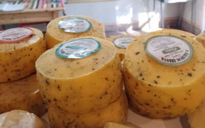 Escapadas y un viaje soñado a la Región de los Sabores