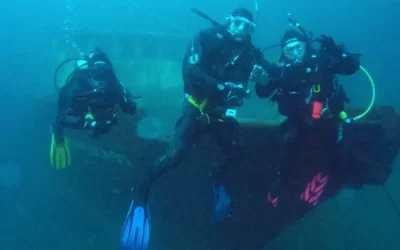 Bucear en el Parque Submarino de Las Grutas ¡tiene sentido!
