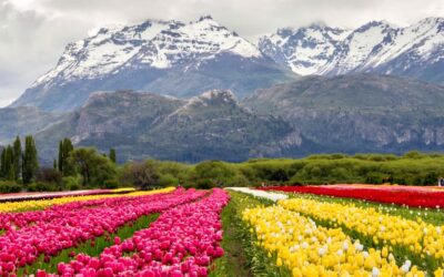 Trevelin, uno de los mejores pueblos turísticos del mundo
