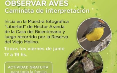 Sumergirse en el Tercer Microclima del Mundo