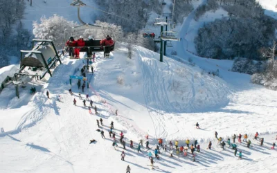 Viedma y Bariloche registraron índices superiores al 90% de ocupación 