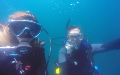 Cota Cero te espera en Las Grutas para conocer el mundo submarino de la región