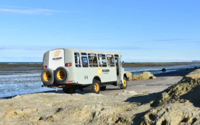 Si vacacionás en Las Grutas, conocé las excursiones que no te podés perder