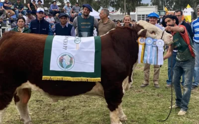 Una nueva edición de la Fiesta del Ternero llega a Choele Choel