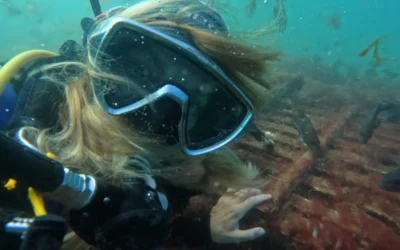 Vacaciones de invierno: buceá en Las Grutas y descrubrí el mar