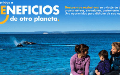 Puerto Madryn lanza descuentos imperdibles para vivir la temporada de ballenas 2025
