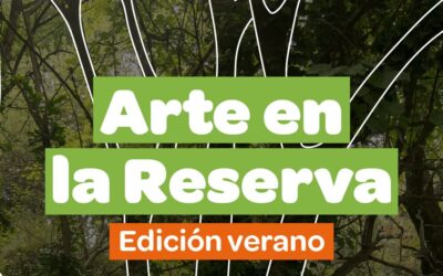 Arte en la Reserva: una propuesta para conectar con la naturaleza a través del arte