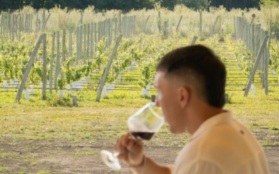 Oleoturismo y Enoturismo en la Ruta del Olivo y de Vinos de Buenos Aires