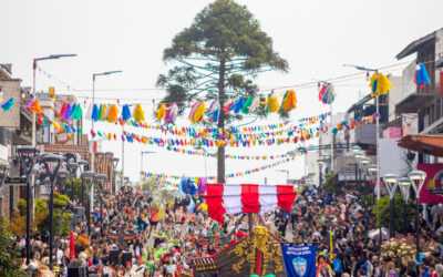Como vivir la 45° edición de la tradicional Fiesta Nacional de la Diversidad Cultural