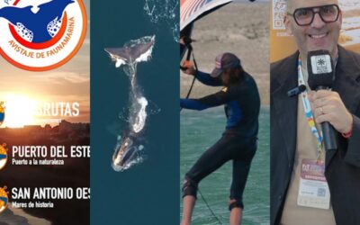 Las Grutas, San Antonio y Puerto del Este se destacaron en FIT